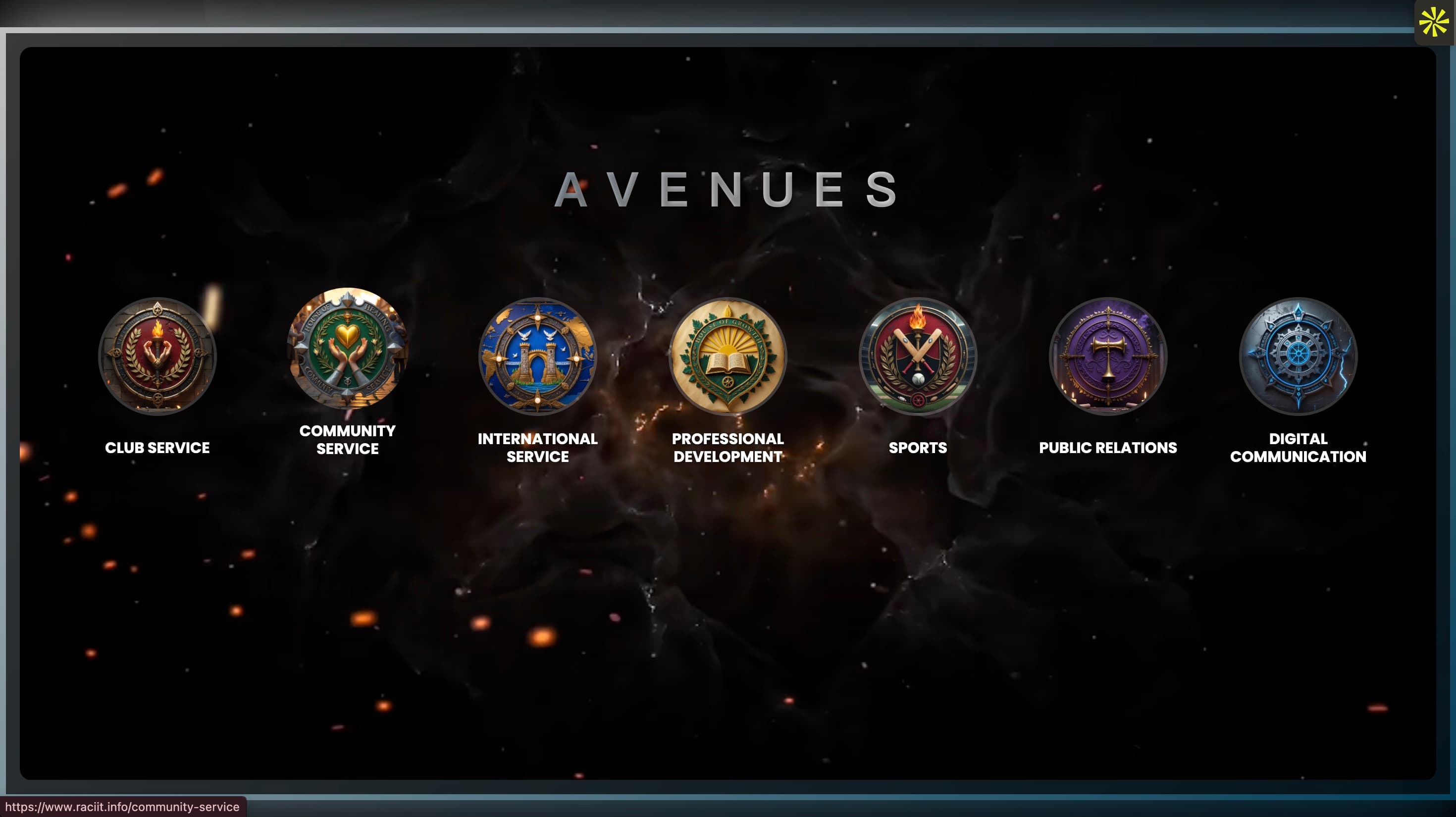 RACIIT Website screenshot 1